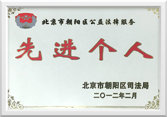 北京市朝阳区公益法律服务先进个人